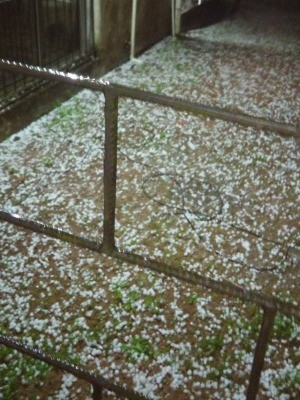 Aceguá  teve queda de granizo na noite de segunda (Foto: Rádio FM Integración 101.5)