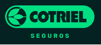 SEGUROS